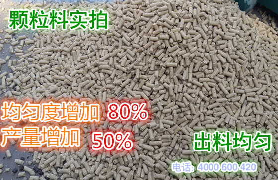 顆粒飼料實拍（pāi）