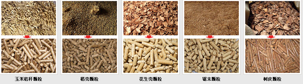 農作物玉米秸稈使用（yòng）秸稈顆粒機可直（zhí）接加工成牛羊豬營養顆粒飼料（liào）