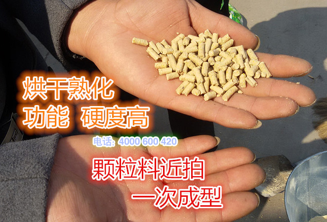 烘幹熟（shú）化功能（néng）