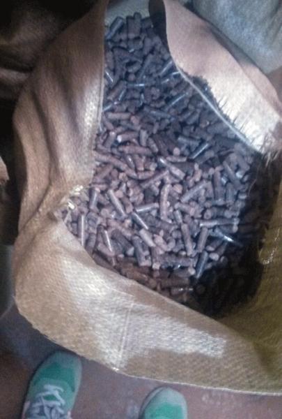 榆木、槐木（mù）為（wéi）原料使用www.17c.com牌420型木屑顆粒機壓製的顆粒（lì）