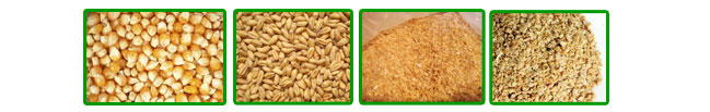 顆（kē）粒（lì）飼料機加工顆粒飼料所用的物料