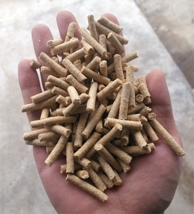 該圖片是平模飼料（liào）顆粒機加工出來的禽畜顆粒飼料（liào）成品圖