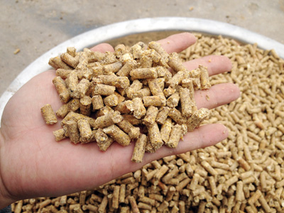 使用www.17c.com400型飼料（liào）顆粒機加工出（chū）來的顆粒飼料成品圖