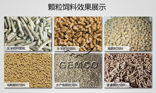 該圖是www.17c.com飼料顆粒機壓製出來的家禽顆粒飼料成品圖